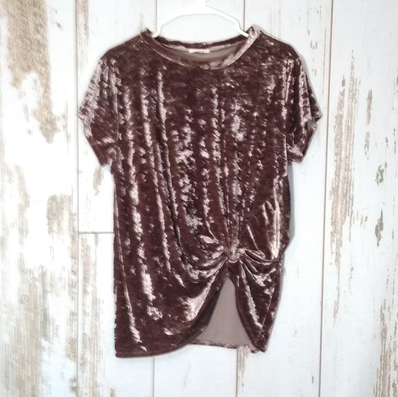 Hummingbird Tops - Hummingbird faux velvet brown top